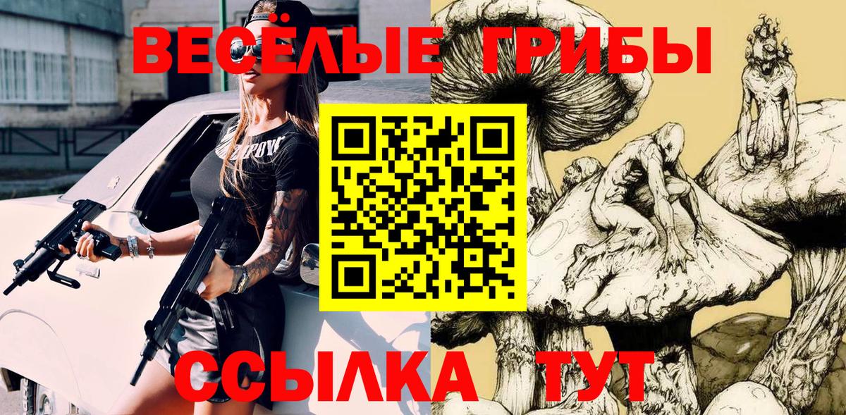 Псилоцибиновые грибы Cubensis Дербент